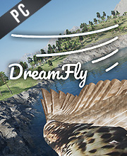 DreamFly VR