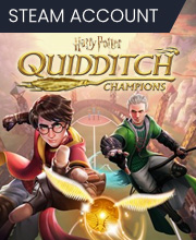 Harry Potter Quidditch Champions