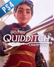 Harry Potter Quidditch Champions