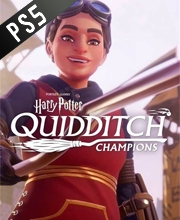 Harry Potter Quidditch Champions