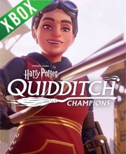 Harry Potter Quidditch Champions