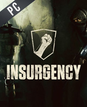 Insurgency
