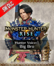 Monster Hunter Rise Hunter Voice Big Bro