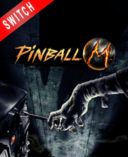 Pinball M