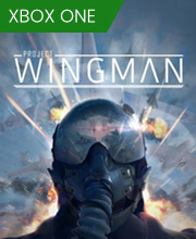 Project Wingman