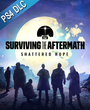 Surviving the Aftermath Shattered Hope