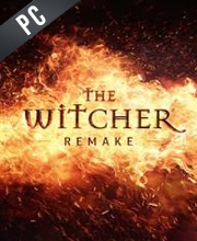 The Witcher Remake