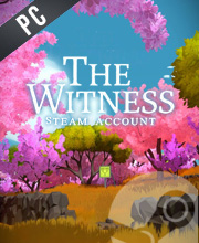 The Witness