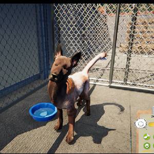 Animal Shelter Simulator - Damien