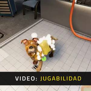 Animal Shelter Simulator - Video de Jugabilidad