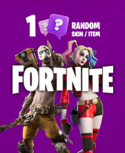 1 Random Fortnite Skin