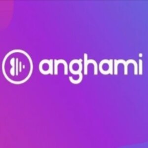 Tarjeta Regalo Anghami Plus Gift Card Comparar Precios