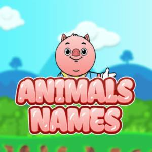 Animals Names