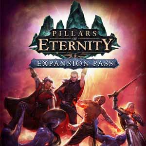 Comprar Pillars of Eternity Expansion Pass CD Key Comparar Precios