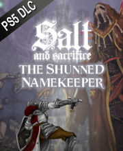 Comprar Salt and Sacrifice The Shunned Namekeeper PS5 Barato Comparar Precios