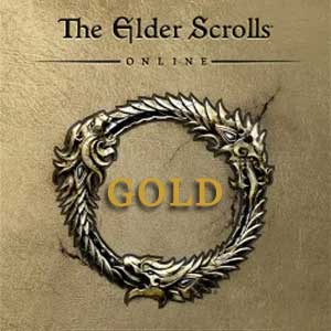 Teso gold edition что входит