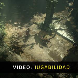 Diablo 4 Vessel of Hatred - Jugabilidad