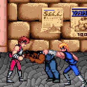 Double Dragon Trilogy pelea