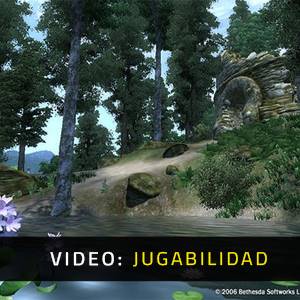 Elder Scrolls 4 Oblivion - Jugabilidad