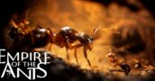 Empire Of The Ants: Todas las ediciones de un vistazo – Los mejores precios en comparación