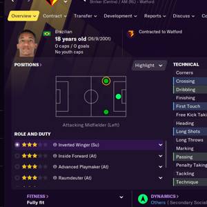 Football Manager 2021 In-game Editor Visión General