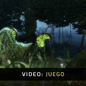 Guild Wars 2 - Juego