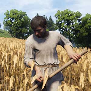 Cultivos agrícolas de la Medieval Dynasty