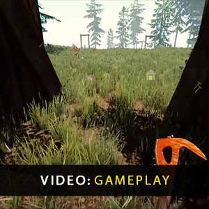 The Forest PS4 Vídeo del juego