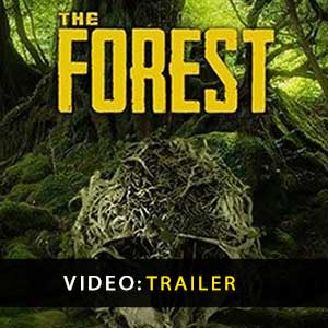 Comprar The Forest CD Key Comparar Precios