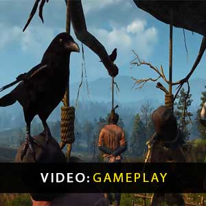 The Witcher 3 Wild Hunt Vídeo del juego