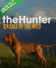 theHunter Call of the Wild Bloodhound