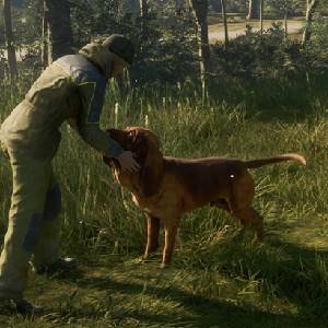 theHunter Call of the Wild Bloodhound - Acariciar