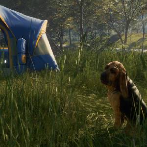 theHunter Call of the Wild Bloodhound - Carpa