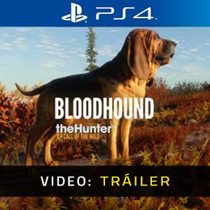 theHunter Call of the Wild Bloodhound Tráiler del Juego