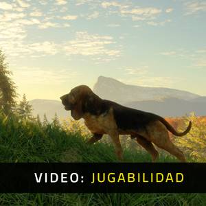 theHunter Call of the Wild Bloodhound Video de la Jugabilidad