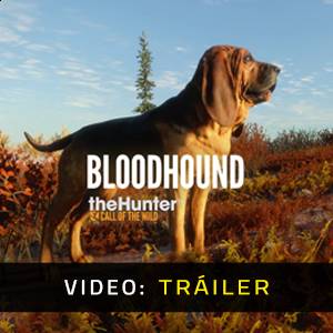 theHunter Call of the Wild Bloodhound Tráiler del Juego