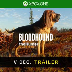 theHunter Call of the Wild Bloodhound Tráiler del Juego