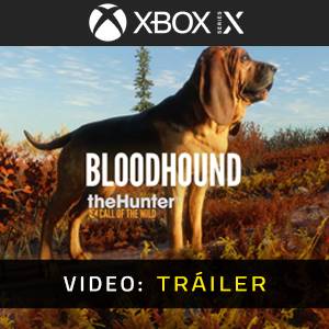 theHunter Call of the Wild Bloodhound Tráiler del Juego