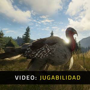 theHunter Call of the Wild Silver Ridge Peaks Vídeo del Juego