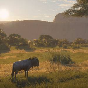 theHunter Call of the Wild Vurhonga Savanna - Ñu Azul