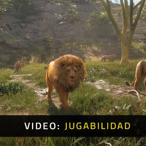 theHunter Call of the Wild Vurhonga Savanna - Video de Jugabilidad