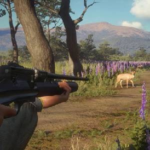 theHunter Call of the Wild Weapon Pack 3 - Ciervo