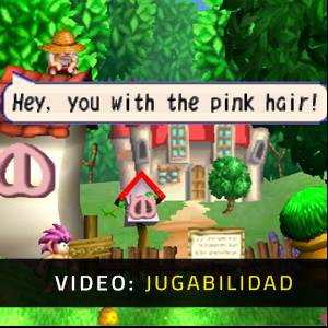 Tomba! - Jugabilidad